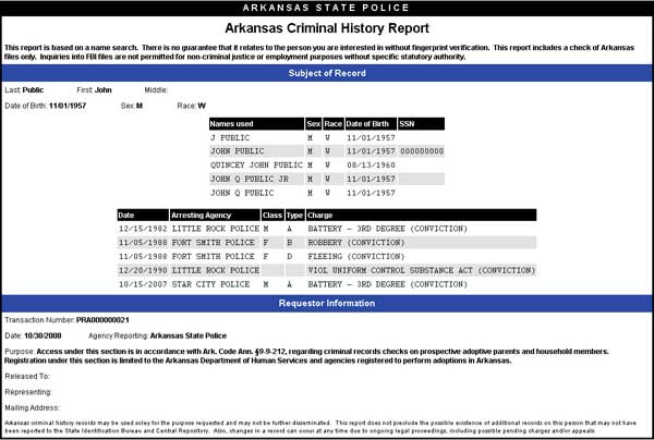 Online Criminal Background Check System