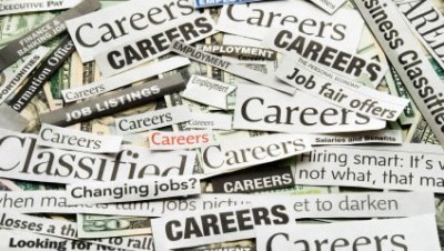 Job Seeker